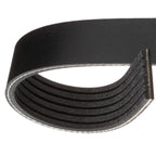 Belt fits Holden Barina, Cruze, Trax, Volkswagen Amarok, Ford Kuga | 6PK1555